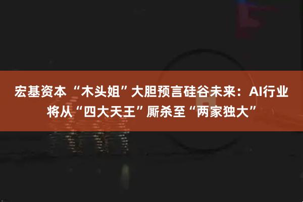 宏基资本 “木头姐”大胆预言硅谷未来：AI行业将从“四大天王”厮杀至“两家独大”