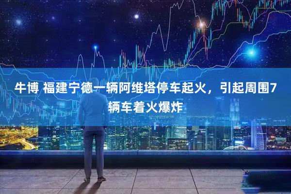 牛博 福建宁德一辆阿维塔停车起火，引起周围7辆车着火爆炸