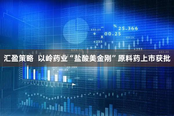 汇盈策略  以岭药业“盐酸美金刚”原料药上市获批