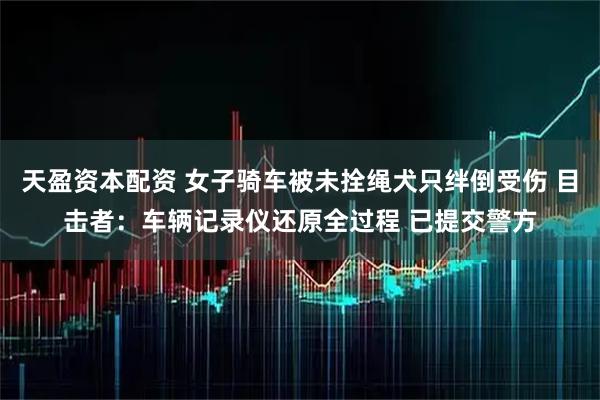 天盈资本配资 女子骑车被未拴绳犬只绊倒受伤 目击者：车辆记录仪还原全过程 已提交警方