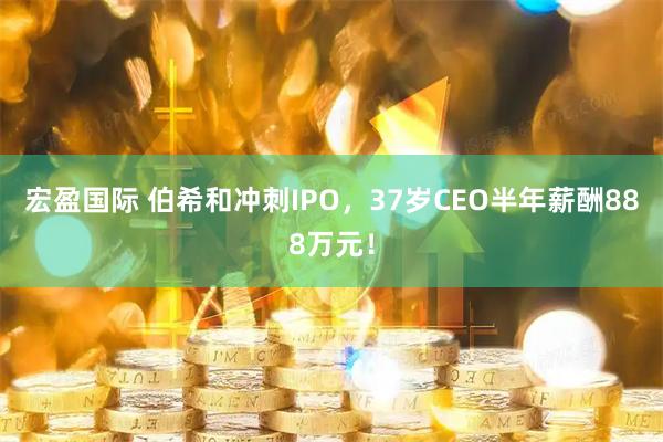 宏盈国际 伯希和冲刺IPO，37岁CEO半年薪酬888万元！