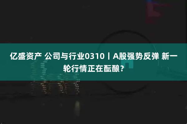 亿盛资产 公司与行业0310丨A股强势反弹 新一轮行情正在酝酿?